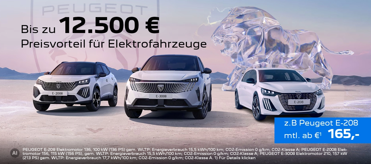 Peugeot 12.500