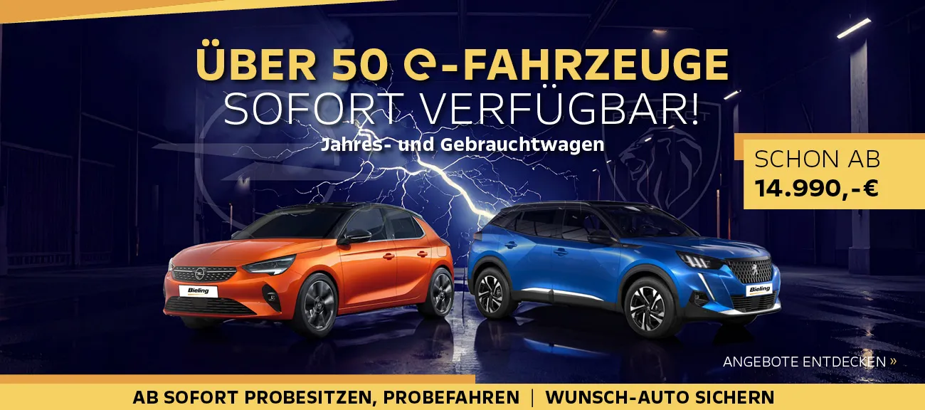e-Fahrzeuge Abverkauf