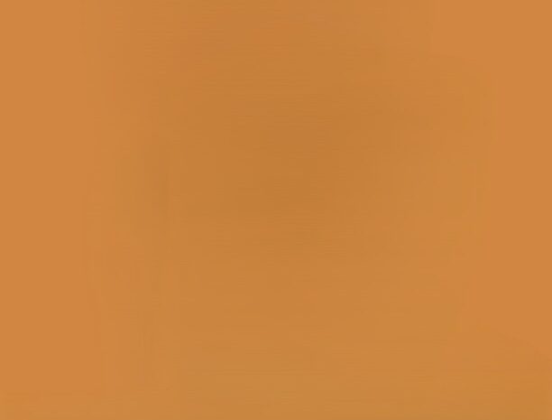  NN