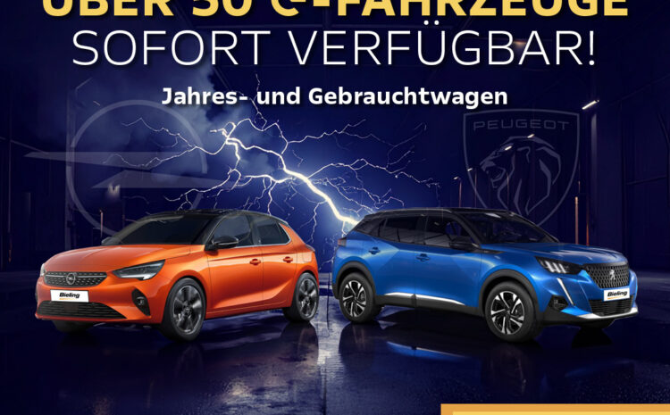  E-Auto Abverkauf