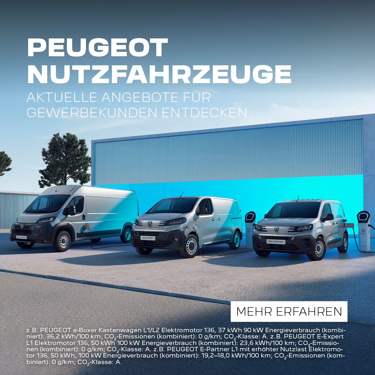 Peugeot Nutzfahrzeuge