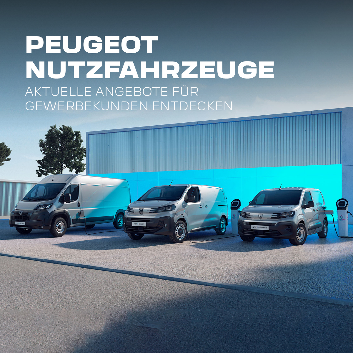 Peugeot Nutzfahrzeuge