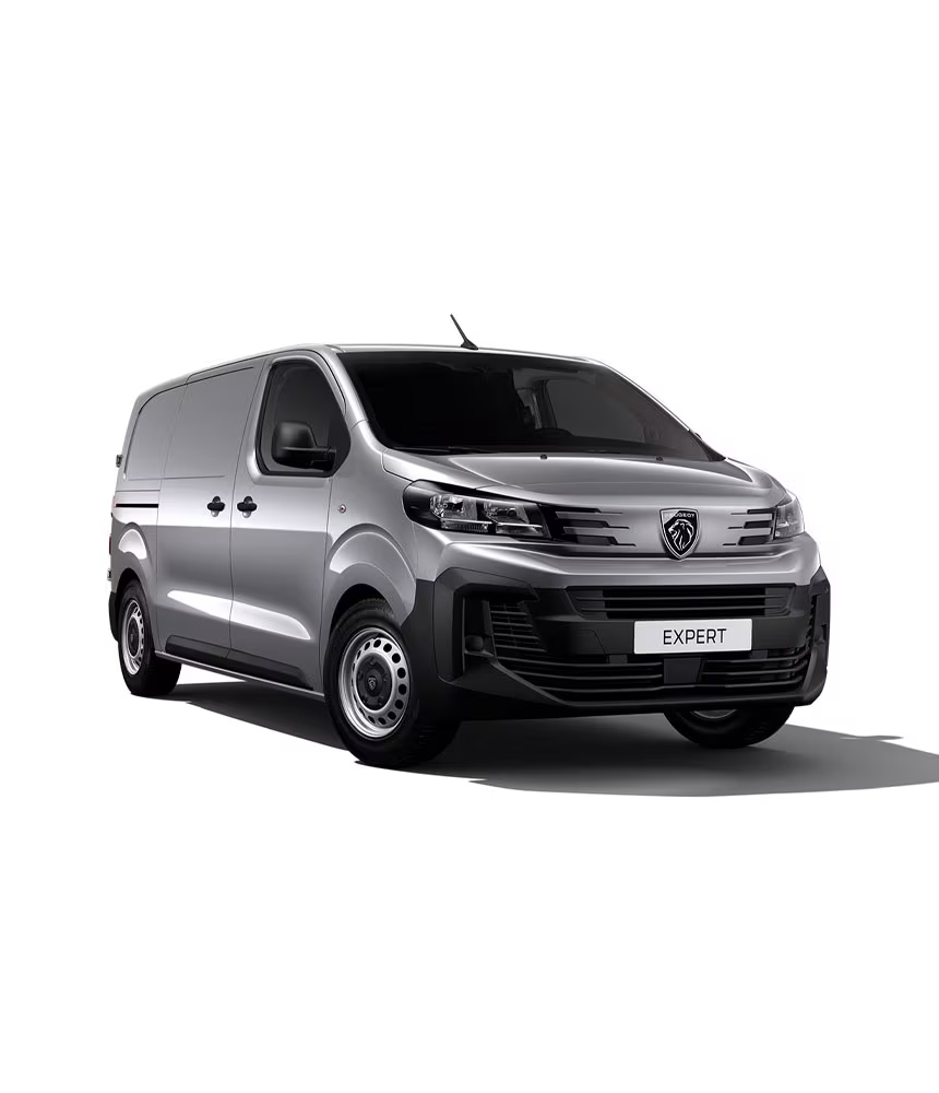 Peugeot Expert Kastenwagen