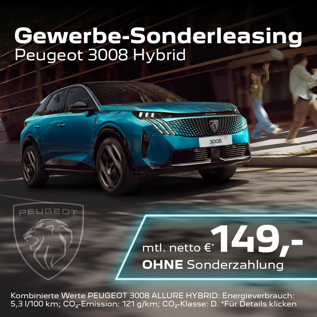 Peugeot 3008 Gewerbe