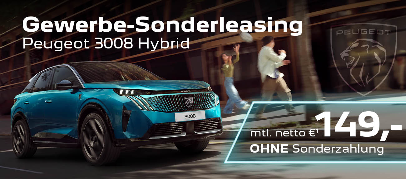Peugeot 3008 Gewerbe