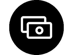 money_icon_sw